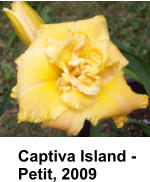 Captiva Island - Petit, 2009
