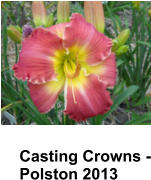 Casting Crowns - Polston 2013