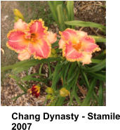 Chang Dynasty - Stamile 2007
