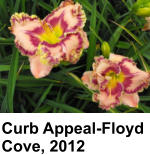 Curb Appeal-Floyd Cove, 2012
