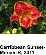 Carribbean Sunset-Mercer-R, 2011