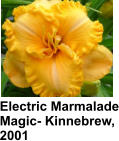 Electric Marmalade Magic- Kinnebrew, 2001